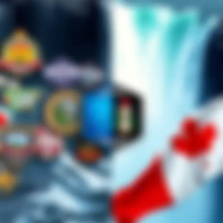 A collection of unique badges from Niagara Falls, NY and Niagara Falls, Canada displayed side by side