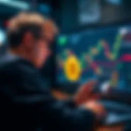 Person reviewing Bitcoin investments and price charts after 7 months of daily dollar-cost averaging