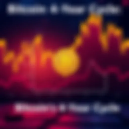 Graph showing Bitcoin's price trends over four years with predictions for future market phases highlighted.