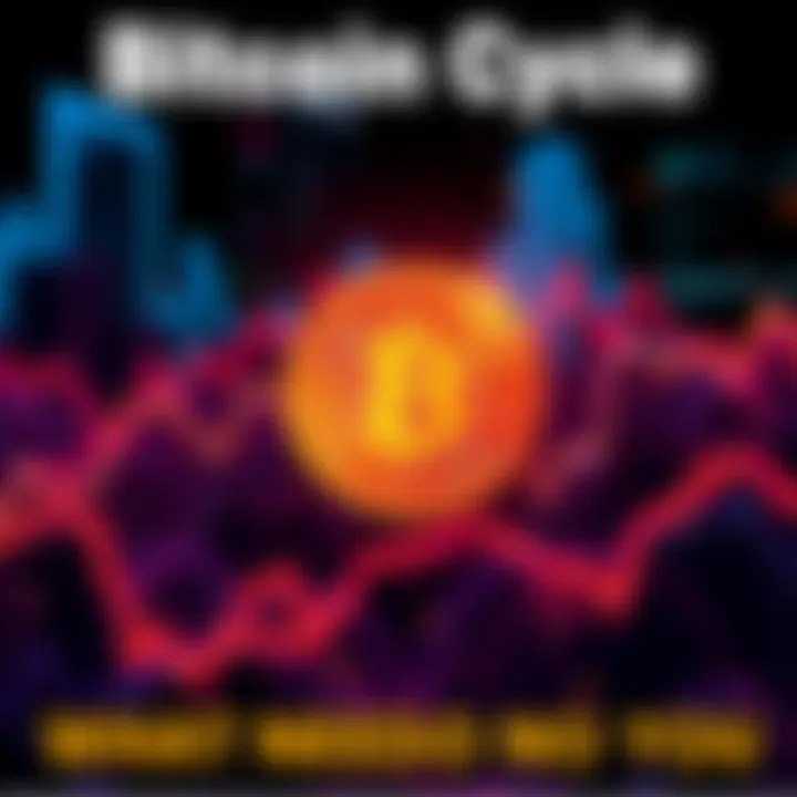 A visual representation of Bitcoin price trends showing cycles of ups and downs in the market.