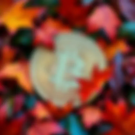 Bitcoin symbol surrounded by autumn leaves representing October changes