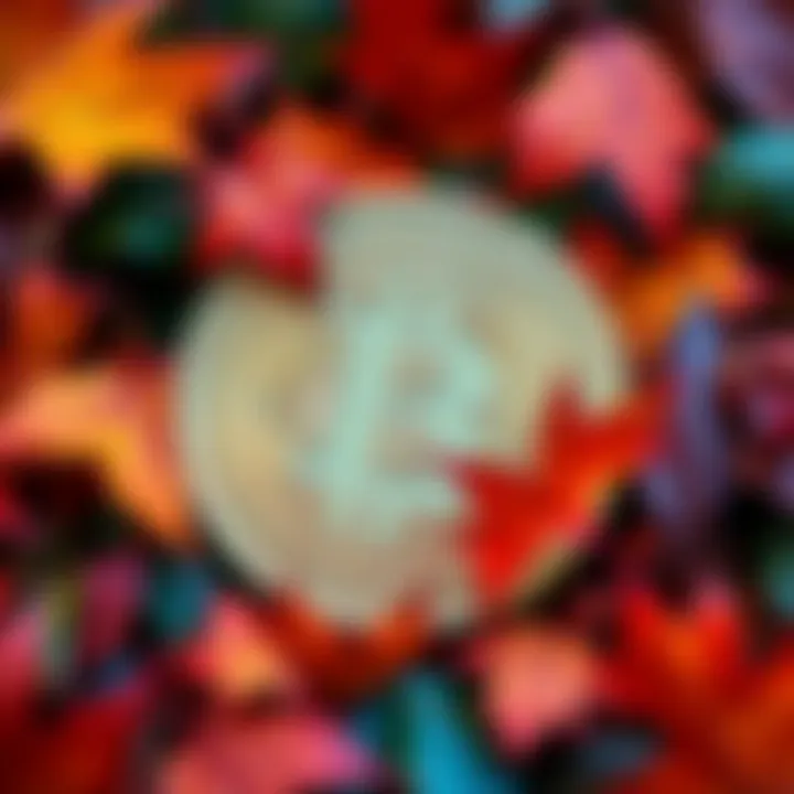 Bitcoin in October Bitcoin symbol surrounded by autumn leaves representing October changes