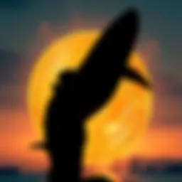 Owen Gunden seen as a silhouette against a Bitcoin symbol, signaling a major market shift after selling 11,000 BTC