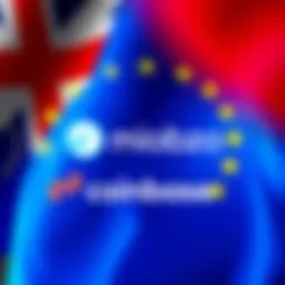Logos of major companies like Coinbase and Nexo with a European Union flag background