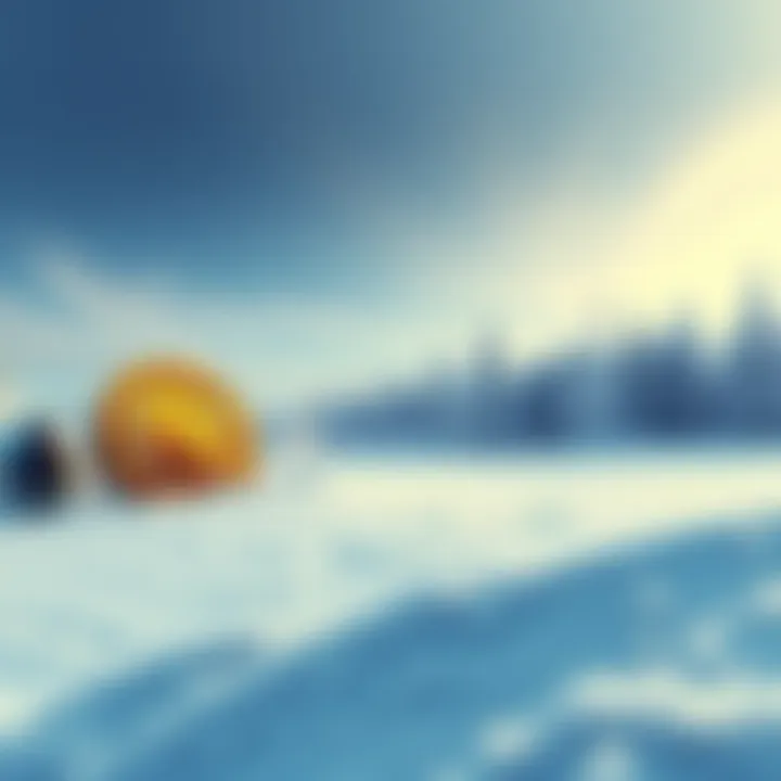 A frozen landscape with cryptocurrency symbols like Bitcoin and Ethereum covered in snow, symbolizing a harsh market downturn.