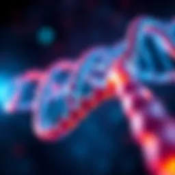 A detailed view of a DNA double helix showing its spiraling shape and base pairs