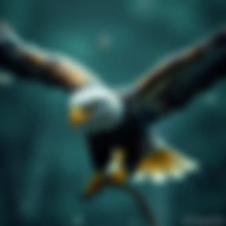 Eagle Analysis A focused examination of an eagle and its environment, highlighting potential errors in the analysis of 'Left of the Eagle'.