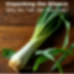 A freshly harvested leek lying on a wooden table, showcasing its green leaves and white bulb. The leek looks crisp and vibrant, inviting discussion about its significance in cooking or gardening.