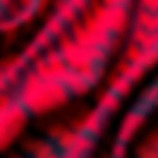 A close-up of vibrant red and black hand-dyed fabric showing molted patterns
