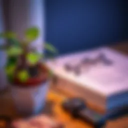A variety of clever places to hide hardware wallets, including a potted plant, a book, and a hidden compartment in furniture