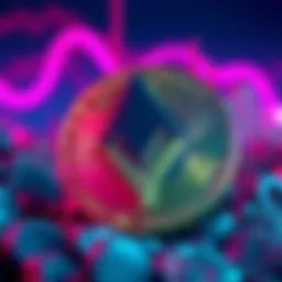 Monero logo in front of a Bitcoin symbol, representing the comparison between the two cryptocurrencies