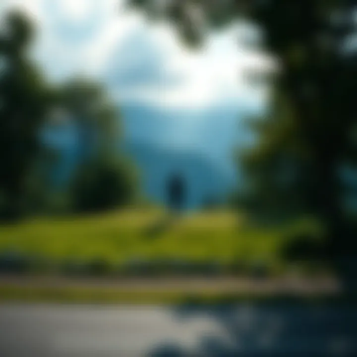 Piece of Land Owned by Mreverything A small, grassy area with trees and a scenic view near a previous residence owned by Mreverything.