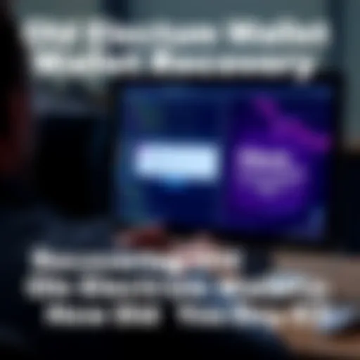 Old Electrum Wallet Recovery A person using a computer to recover an old Electrum wallet, focusing on seed phrases and passwords.