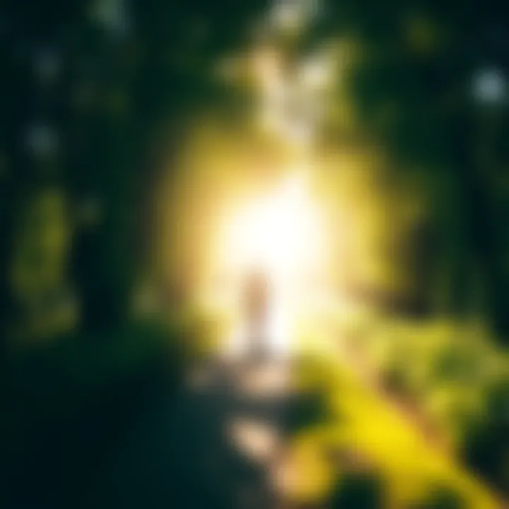 A person walking along a bright path surrounded by green trees, symbolizing the journey of finding one's true self after hardships.