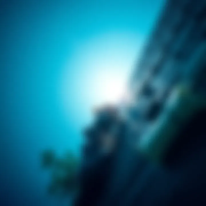 A person focused on climbing a rock wall, demonstrating determination and resilience while navigating challenges.