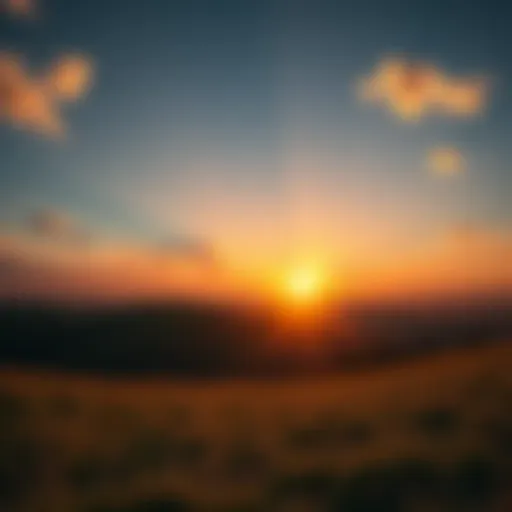 A bright sunrise over a hopeful landscape, symbolizing optimism and new beginnings.