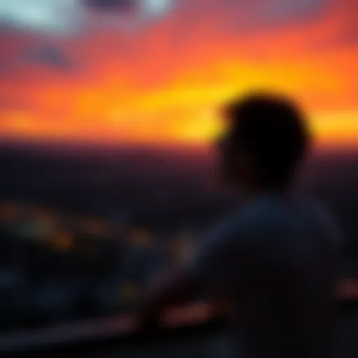 A person looking out at a sunset, feeling nostalgic about 2021 and the hope for future profits.