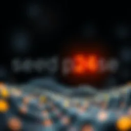 An illustration showing a seed phrase with highlighted 12th and 24th words, emphasizing their importance in the checksum process.
