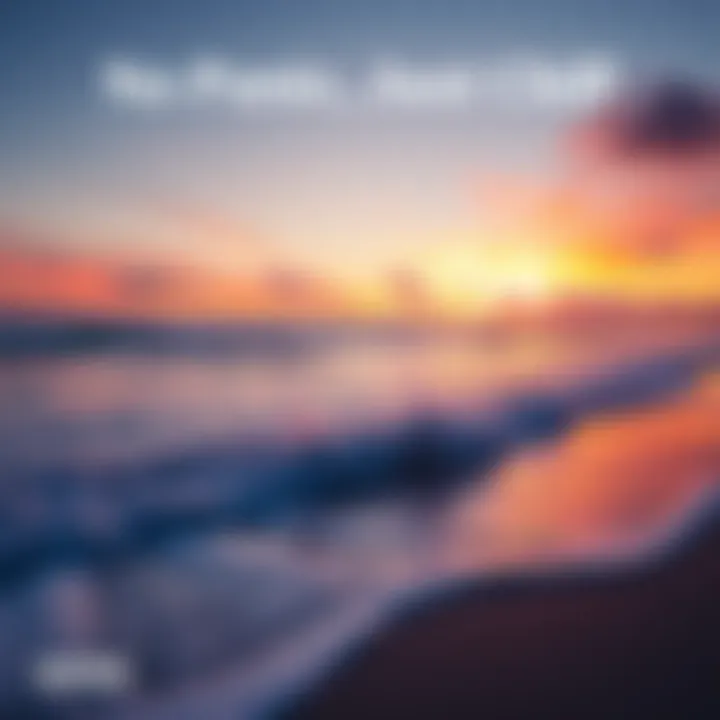 A tranquil beach scene at sunset, evoking a sense of calm and peace amidst chaos