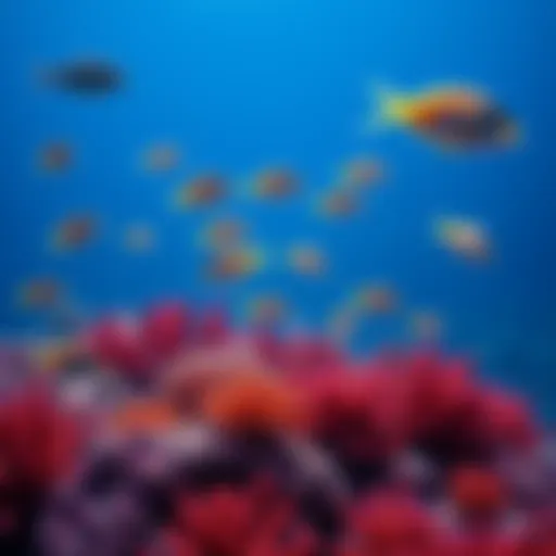 A vibrant coral reef with various small fish swimming around, showcasing their importance in the marine ecosystem.