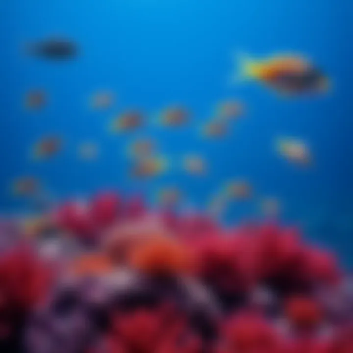 A vibrant coral reef with various small fish swimming around, showcasing their importance in the marine ecosystem.