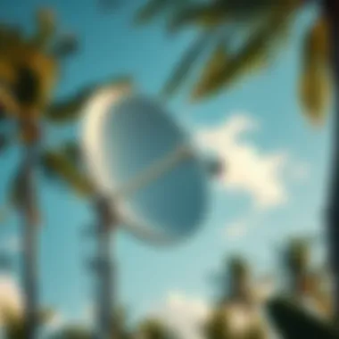 A Starlink satellite dish installed outdoors in a tropical area, with trees and a clear sky in the background, symbolizing internet connectivity for torrenting abroad.