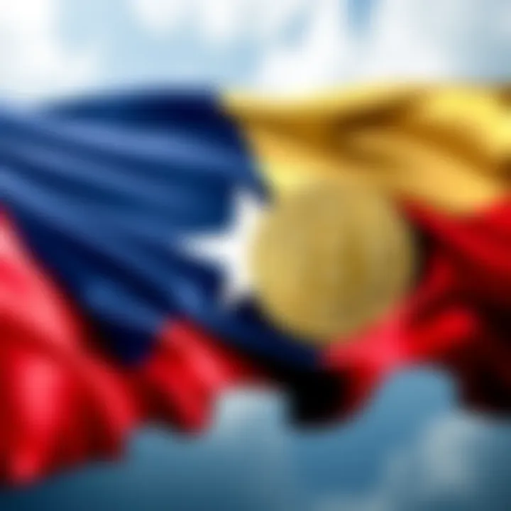 Texas flag with Bitcoin symbol, representing the state's new financial strategy