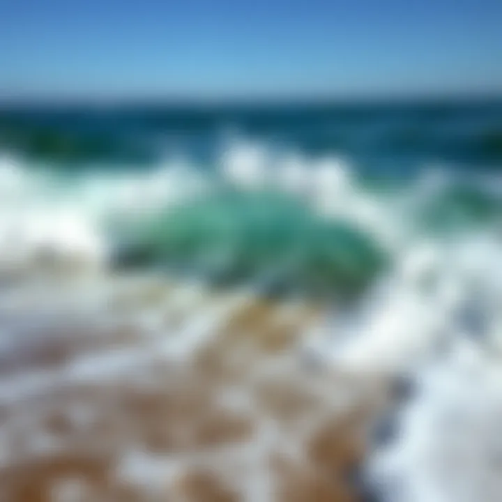 Ocean waves ebbing and flowing along the shore, demonstrating the tidal life cycle