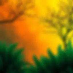 An illustration showing a vibrant transition from orange to green colors representing change