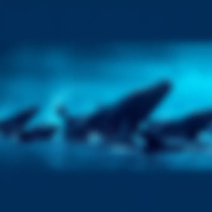 A group of large whales surfacing in calm waters, symbolizing big investors accumulating assets at low prices.