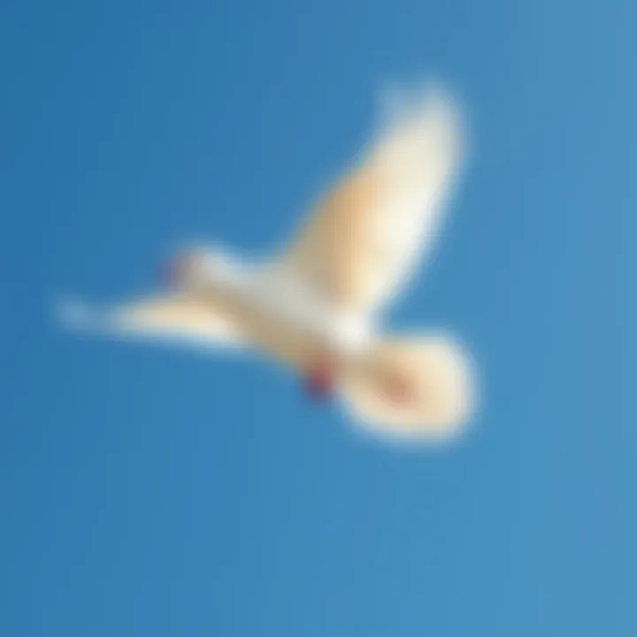 A white dove gliding gracefully against a blue sky, symbolizing hope and change