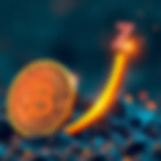 Visual representation of ZEC cryptocurrency symbol growing upwards alongside Bitcoin symbol, indicating its rise as an alternative investment.